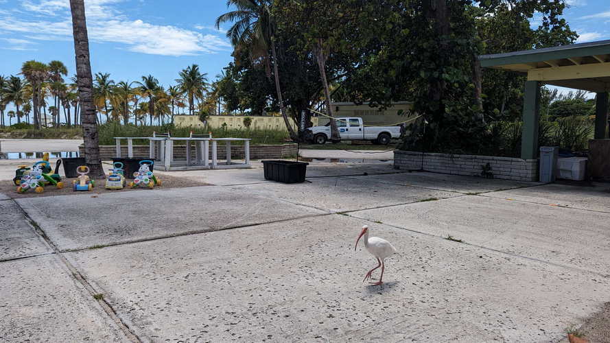MIA_2023-08-28 13-23-10_PXL_20230828_172310603